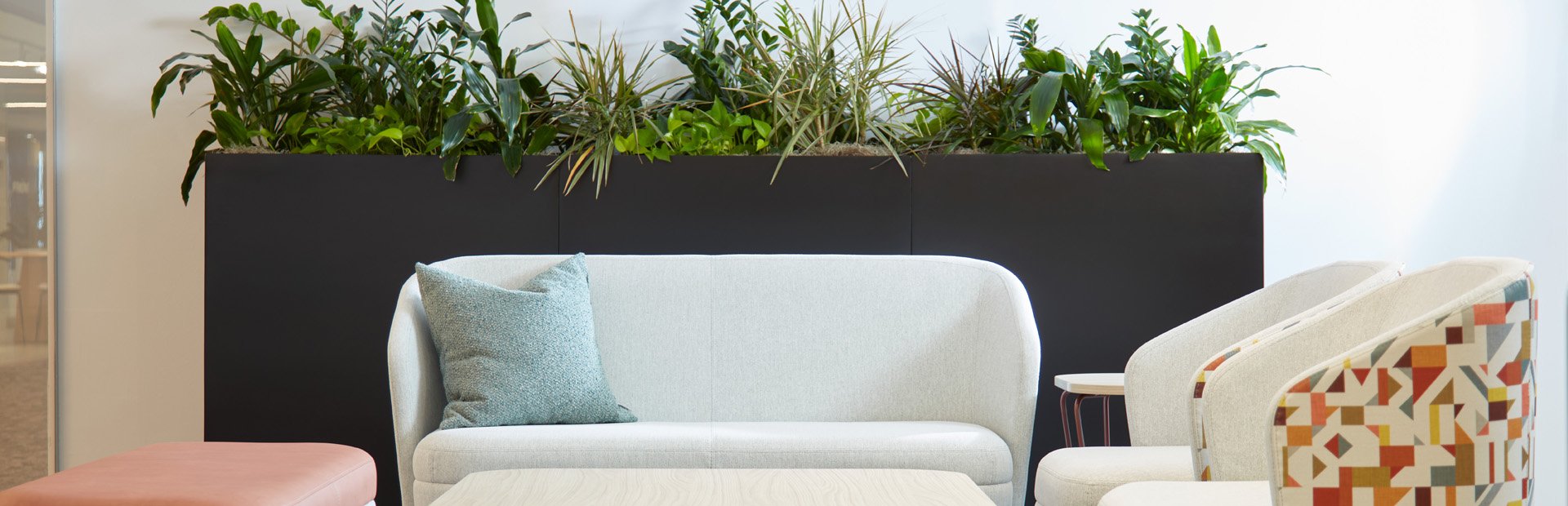 Sonrisa Lounge Collection and Biophilia